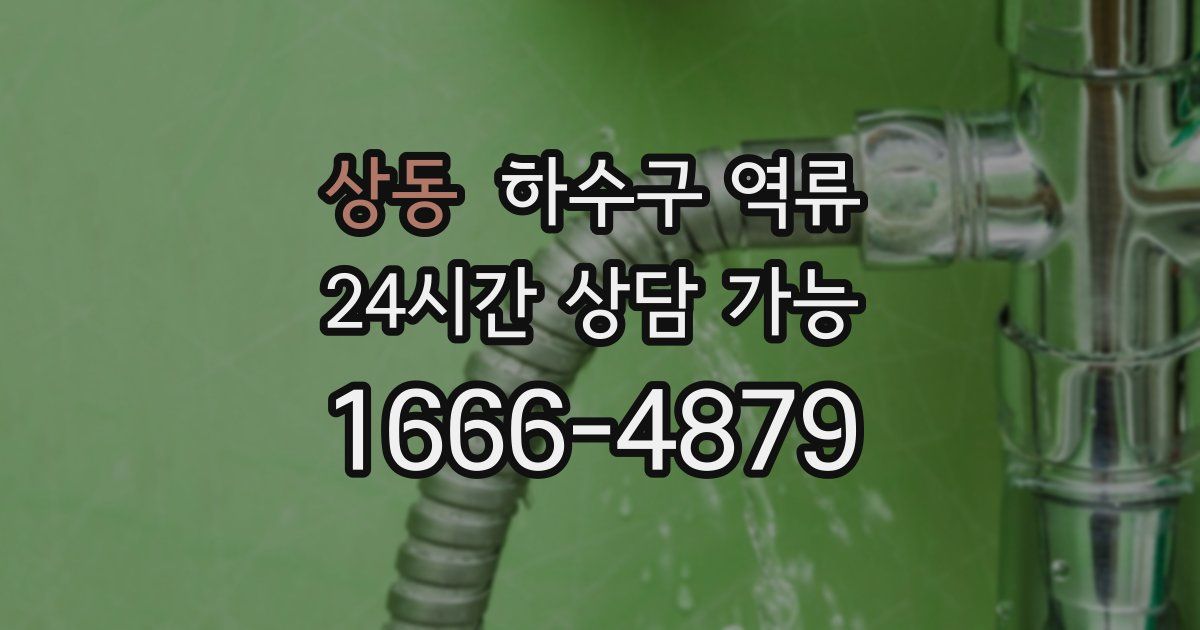 상동 하수구 역류