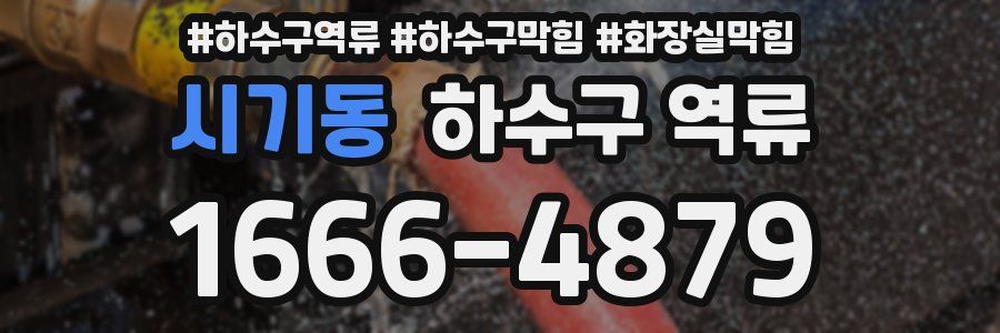 시기동 하수구 역류