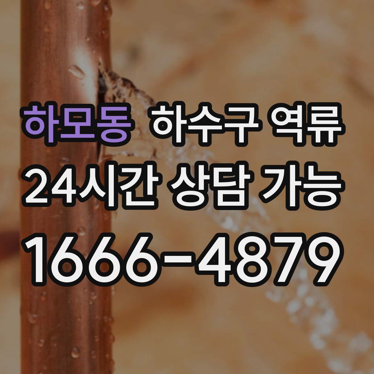 하모동 하수구 역류