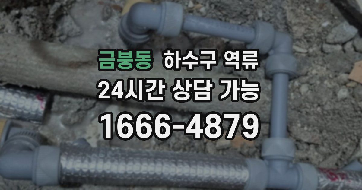 금붕동 하수구 역류
