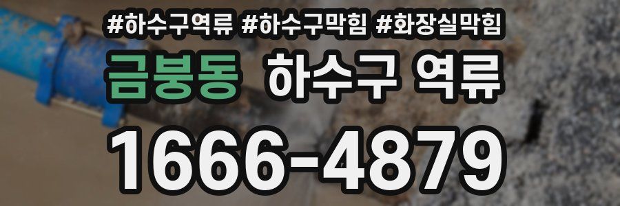 금붕동 하수구 역류