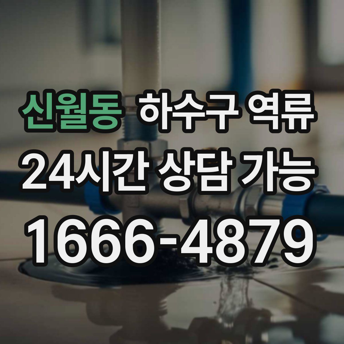 신월동 하수구 역류