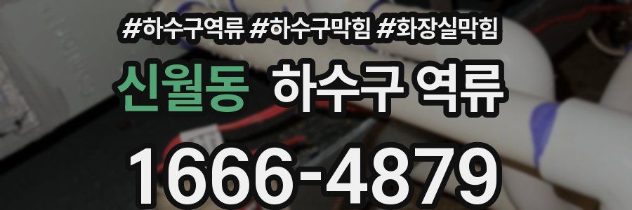 신월동 하수구 역류