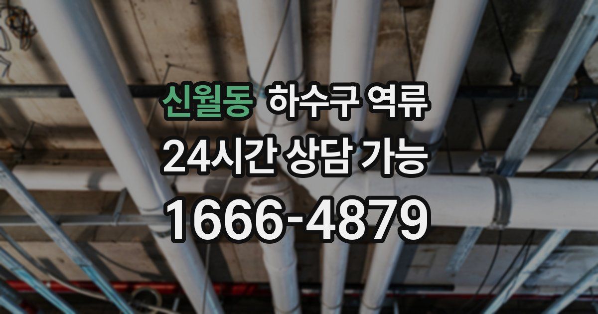 신월동 하수구 역류