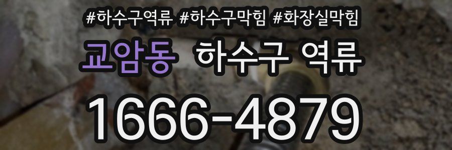 교암동 하수구 역류