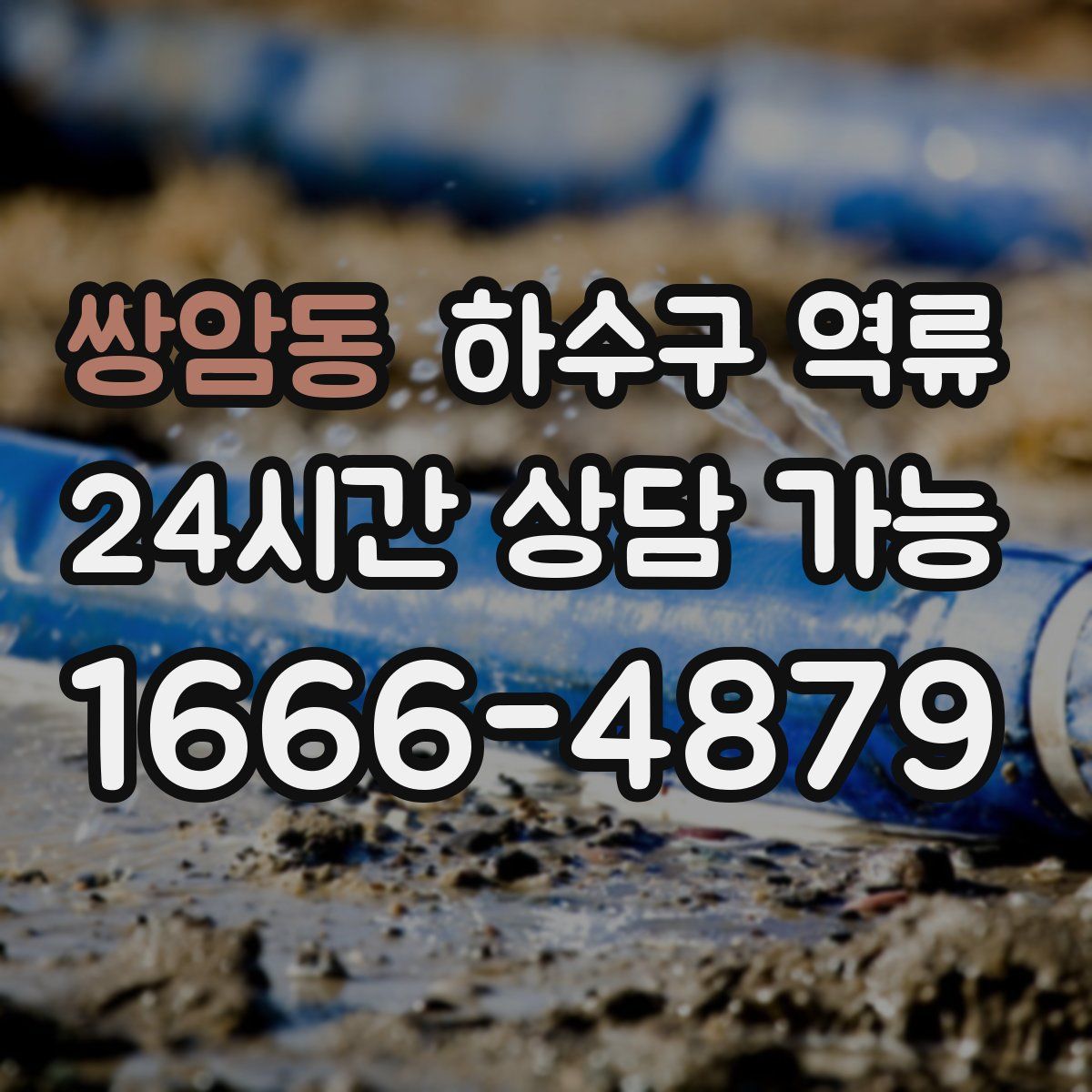 쌍암동 하수구 역류