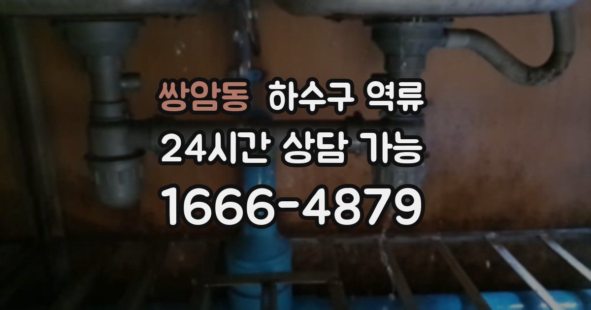 쌍암동 하수구 역류