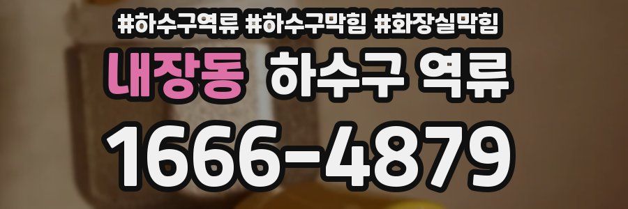 내장동 하수구 역류