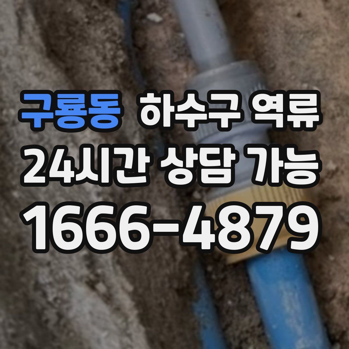 구룡동 하수구 역류