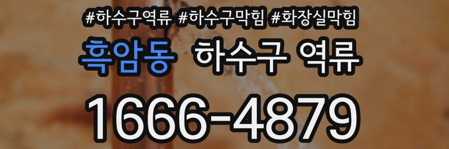 흑암동 하수구 역류