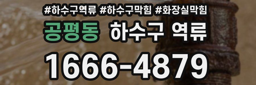 공평동 하수구 역류