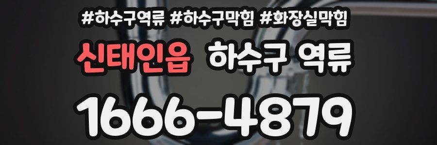 신태인읍 하수구 역류