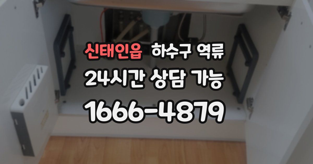 신태인읍 하수구 역류