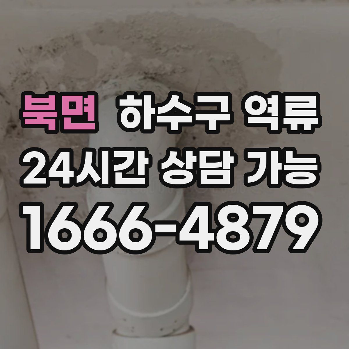 북면 하수구 역류