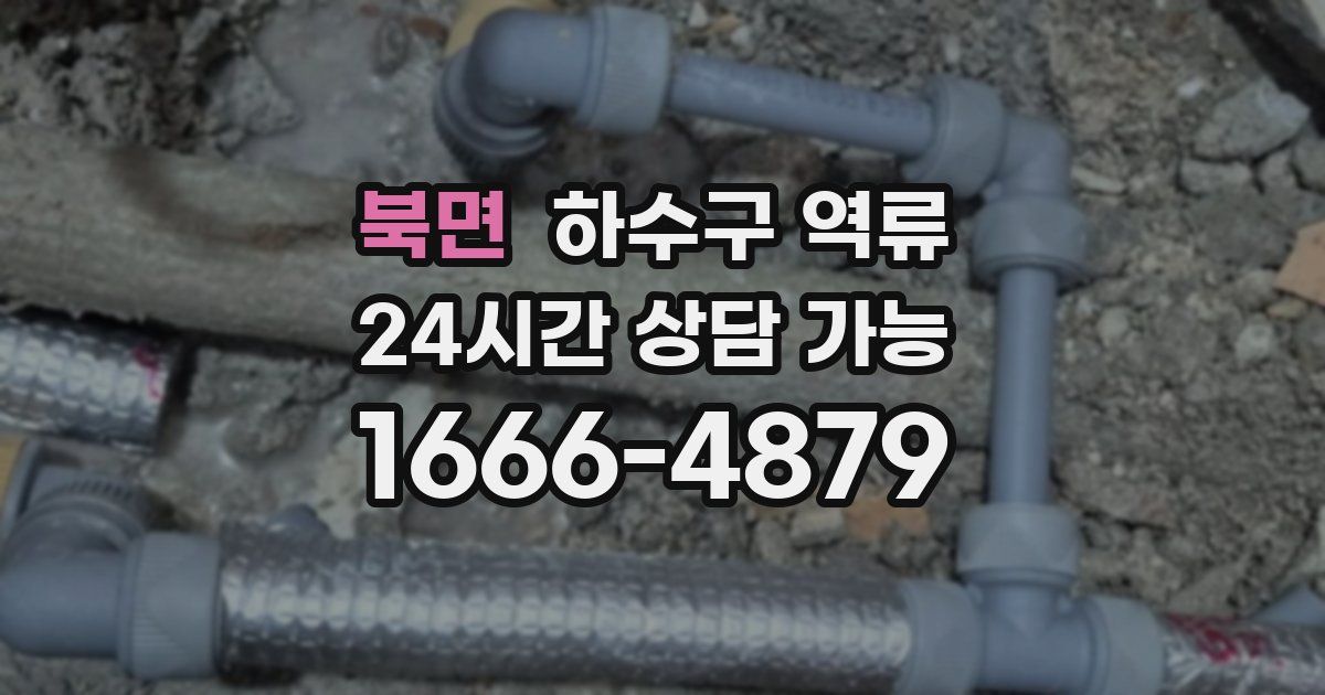 북면 하수구 역류