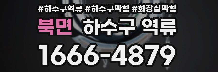 북면 하수구 역류