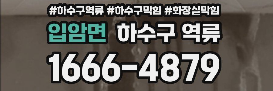 입암면 하수구 역류