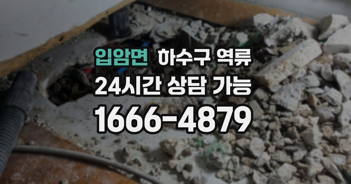 입암면 하수구 역류