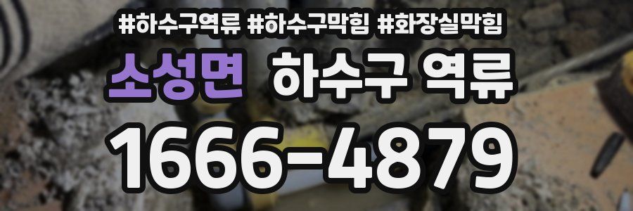 소성면 하수구 역류