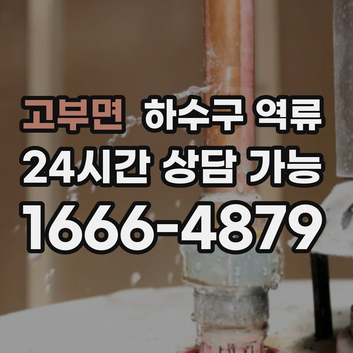 고부면 하수구 역류