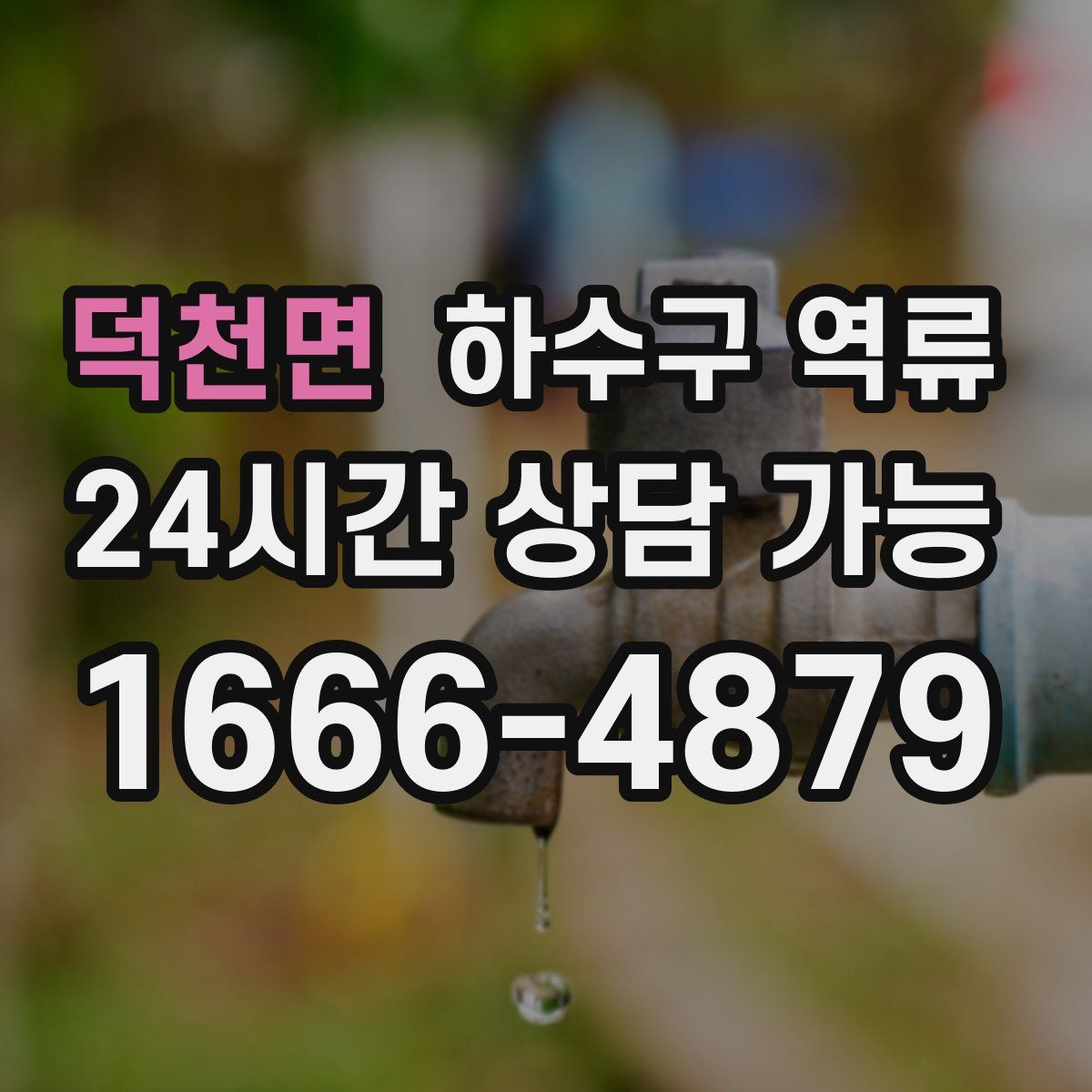 덕천면 하수구 역류