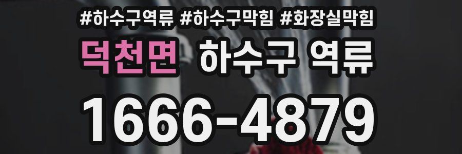 덕천면 하수구 역류