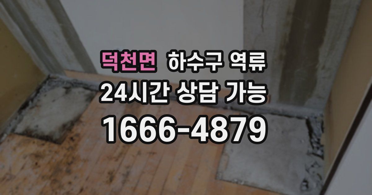 덕천면 하수구 역류