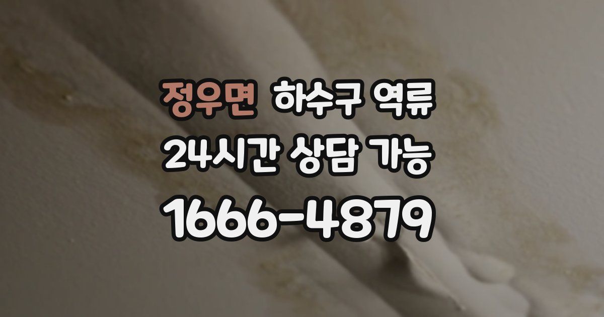 정우면 하수구 역류