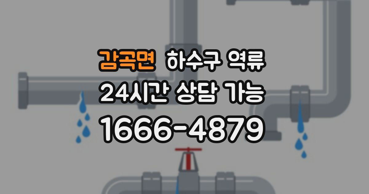 감곡면 하수구 역류