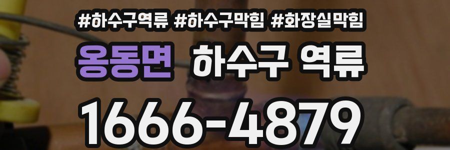 옹동면 하수구 역류