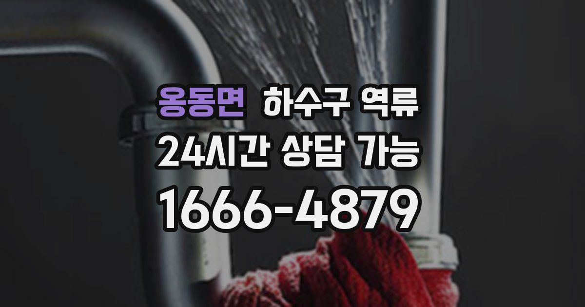 옹동면 하수구 역류