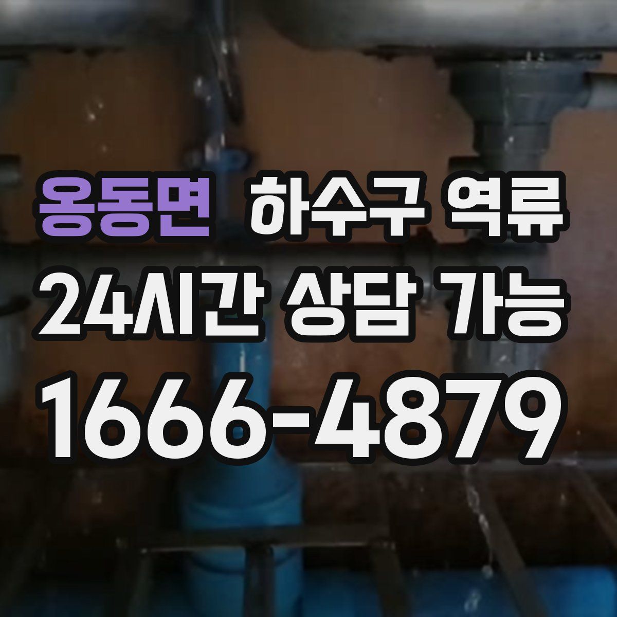 옹동면 하수구 역류