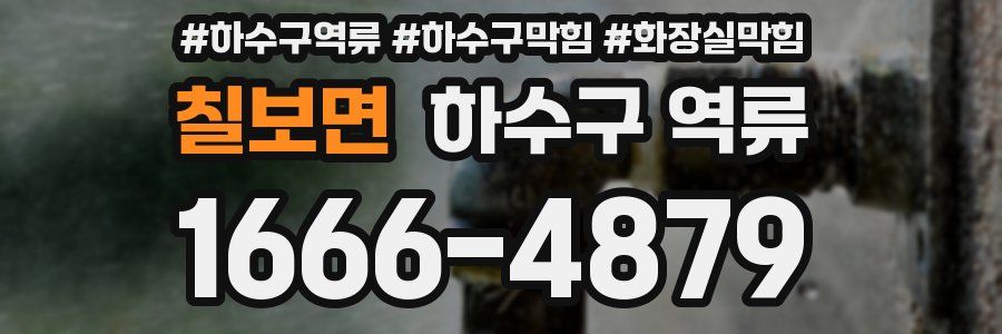 칠보면 하수구 역류