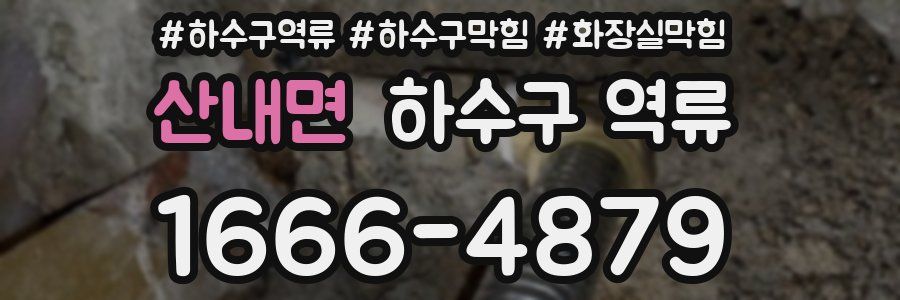 산내면 하수구 역류