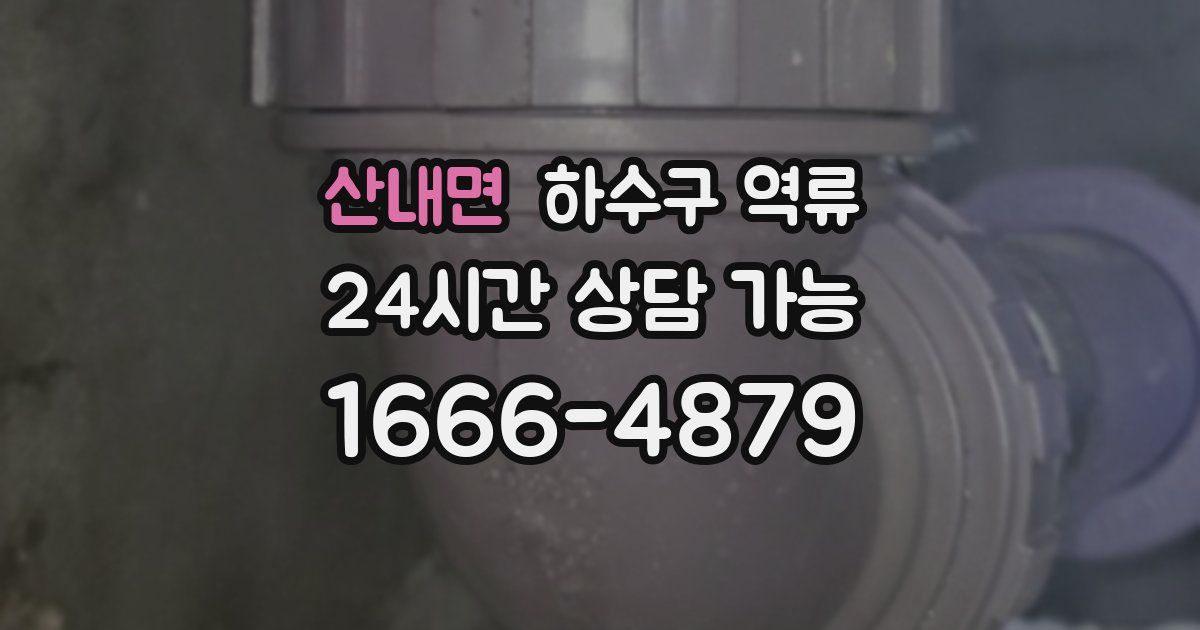 산내면 하수구 역류