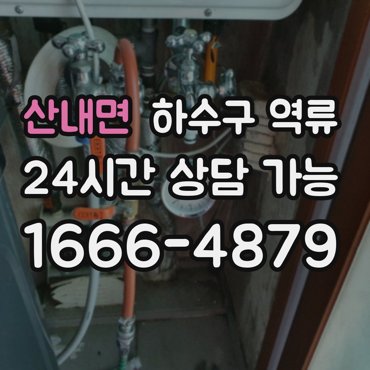 산내면 하수구 역류