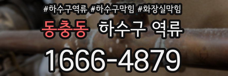 동충동 하수구 역류