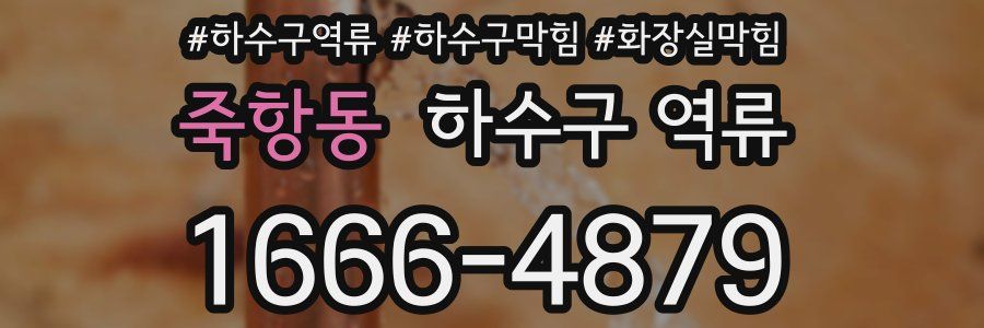 죽항동 하수구 역류