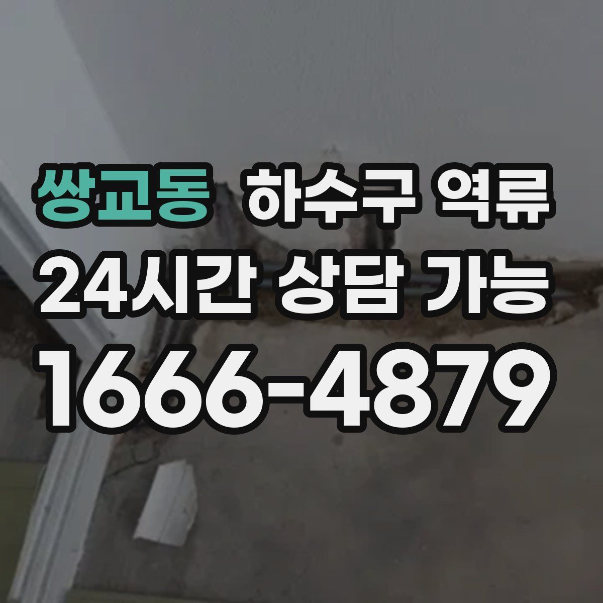 쌍교동 하수구 역류