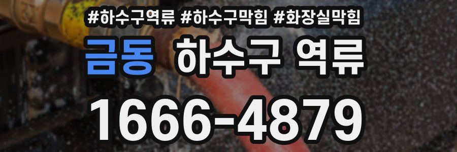 금동 하수구 역류