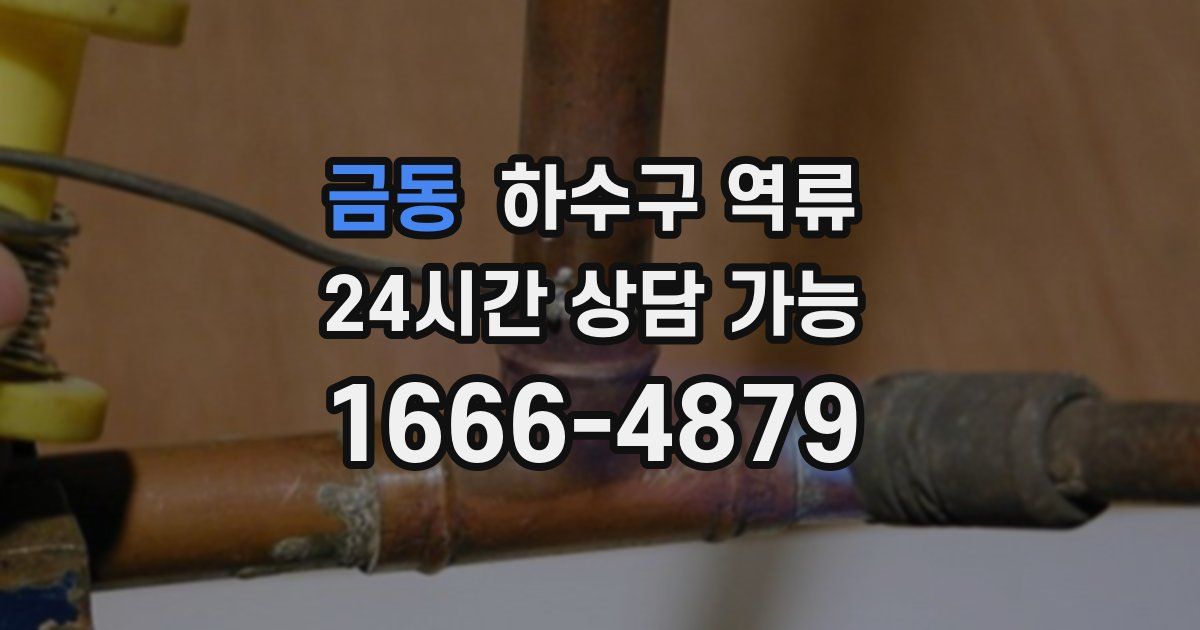 금동 하수구 역류