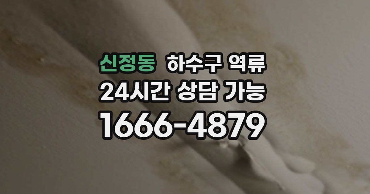 신정동 하수구 역류