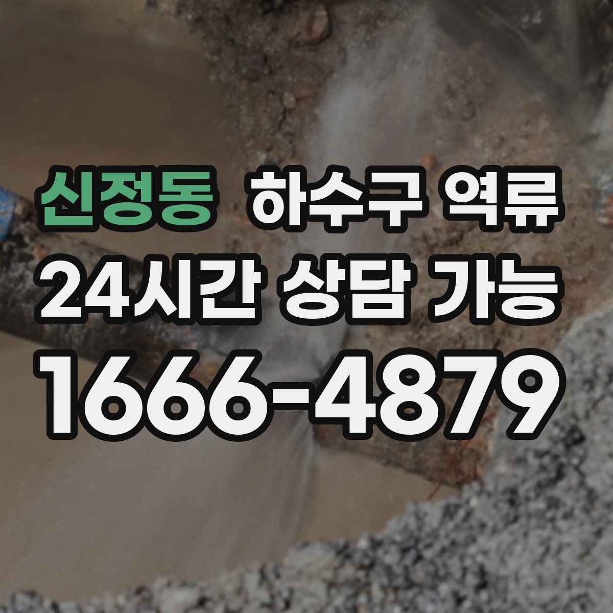 신정동 하수구 역류