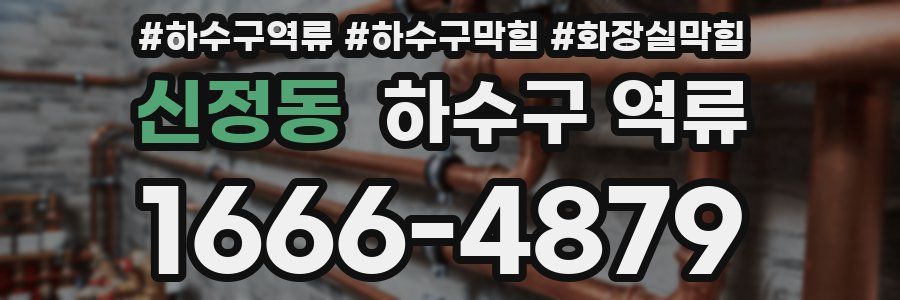 신정동 하수구 역류