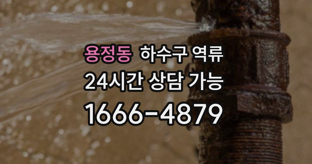 용정동 하수구 역류