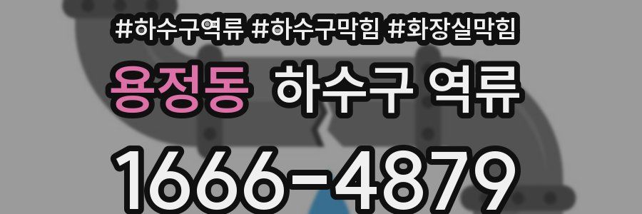 용정동 하수구 역류