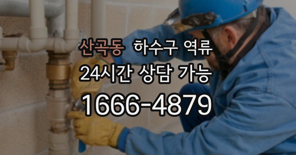 산곡동 하수구 역류