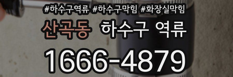 산곡동 하수구 역류