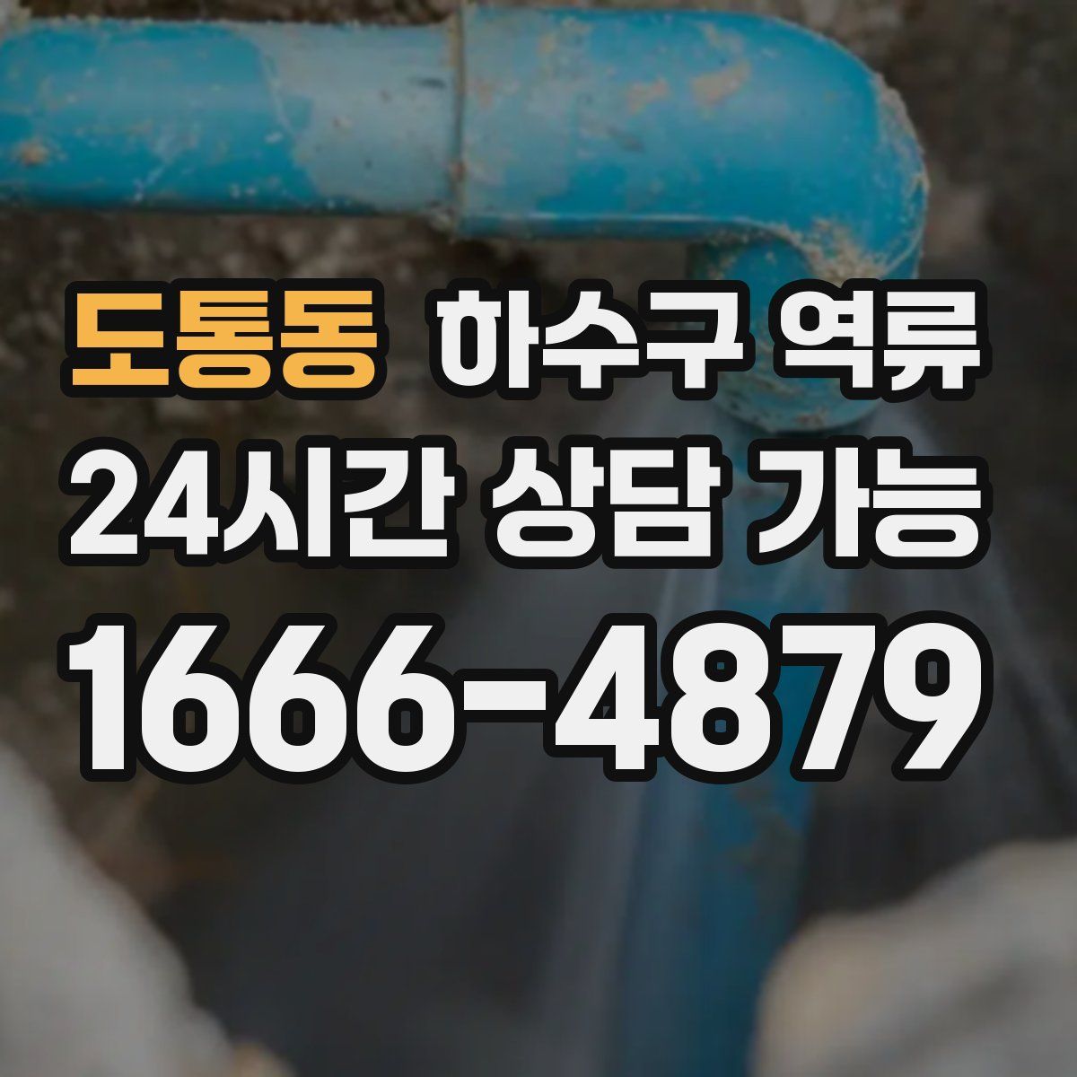 도통동 하수구 역류