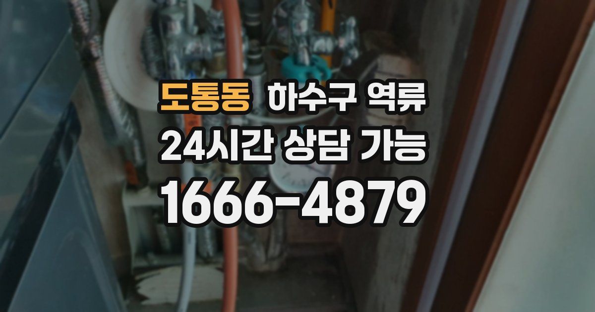 도통동 하수구 역류